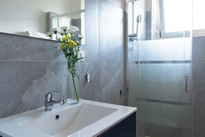 Shower, hair dryer, towels