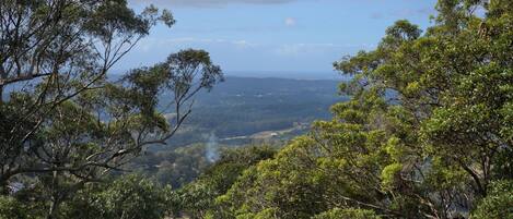 A view of a mountainous landscape with dense foliage and a distant view of the ocean.
