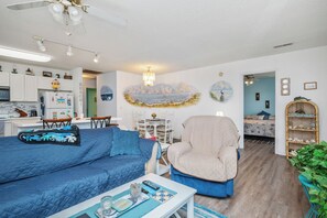TV, DVD player, books, video library
