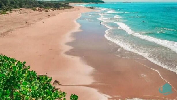 Une plage avec un rivage sablonneux et des vagues douces.