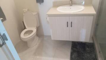 Shower, towels, toilet paper