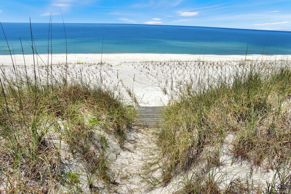 Beach nearby - Salty Dolphin: Beachside Gem Near Park & Trail (Port St Joe)