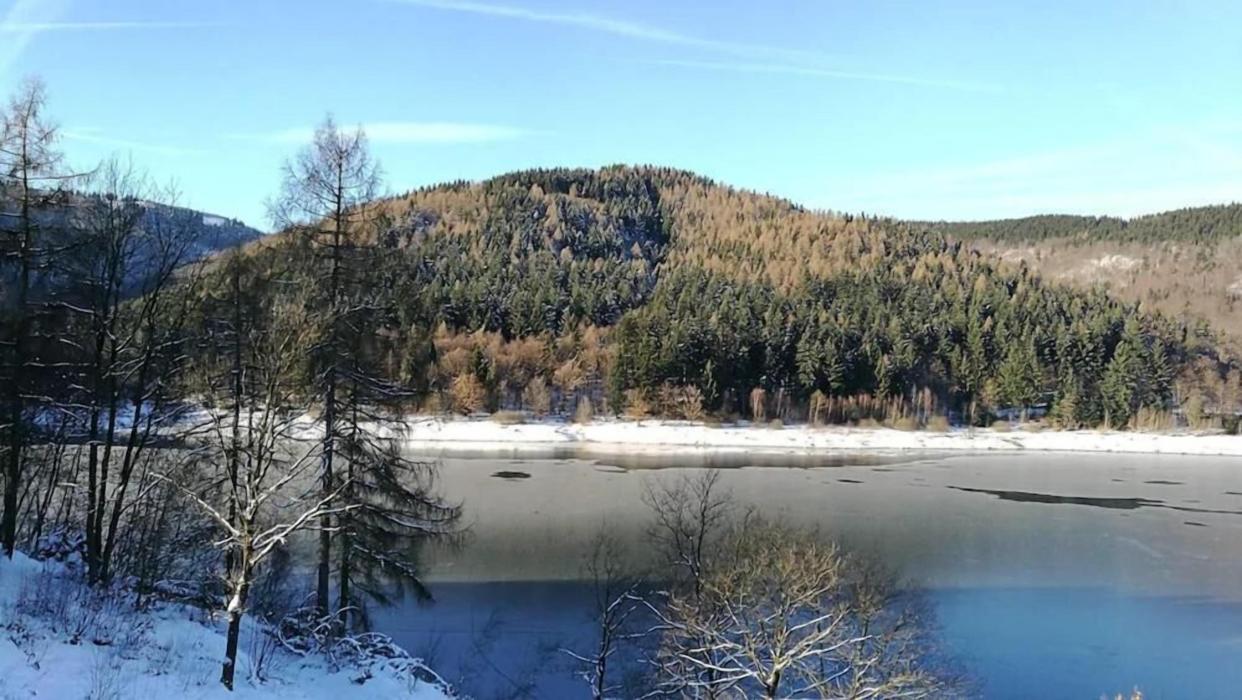 Un lago rodeado de terreno y árboles cubiertos de nieve, con una colina boscosa al fondo.