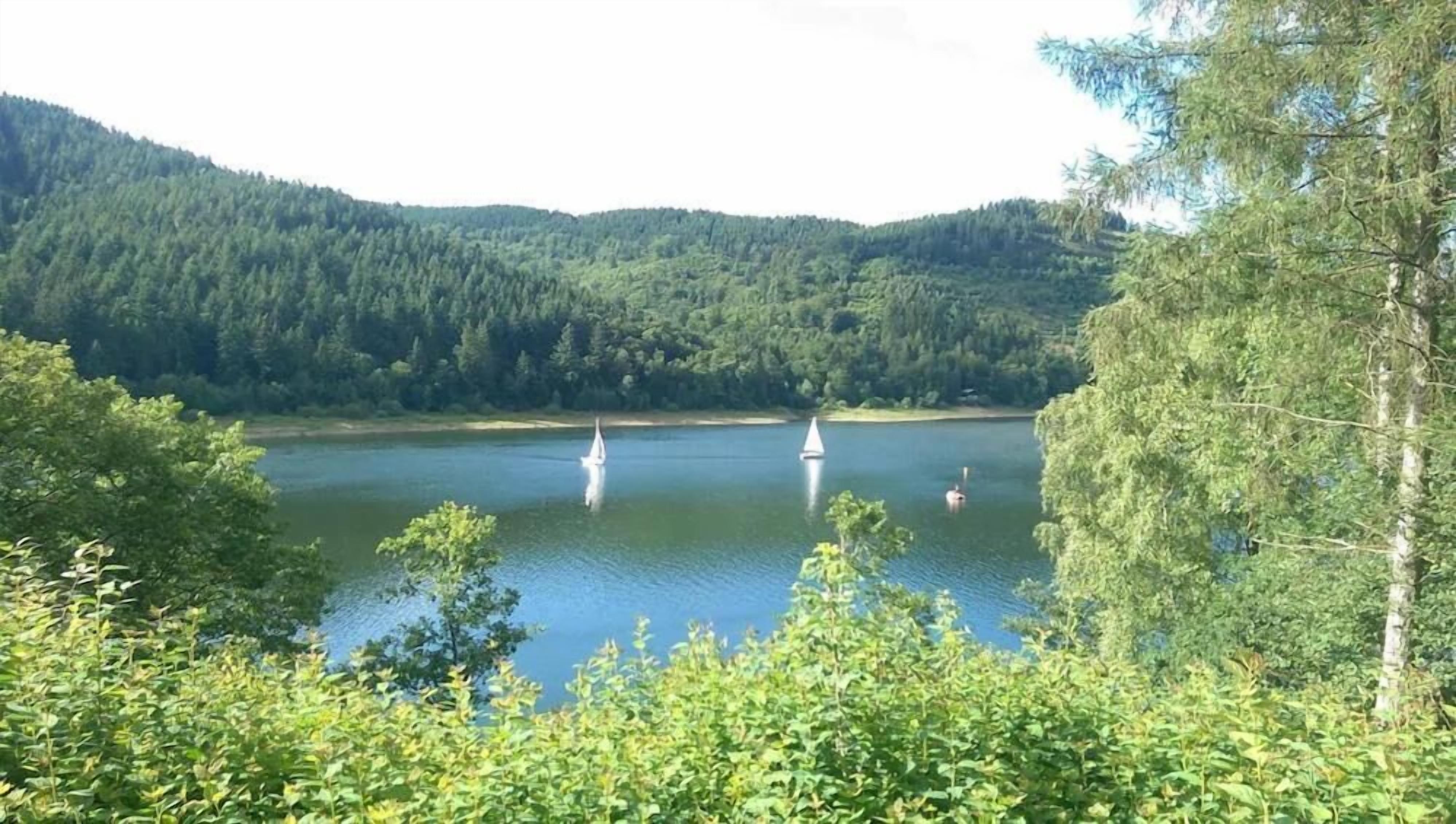 A lake surrounded by dense forest and hills.