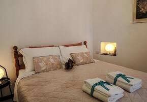 Classic Apartment, Vineyard View | 2 bedrooms, desk