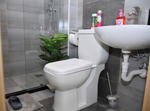 Hair dryer, towels, soap, shampoo
