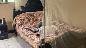 A bed with a floral bedspread, a wooden headboard, and a mosquito net. - 5 Bedroom Lodge Sleeps 10 - Pets Welcome (Kitanswa)