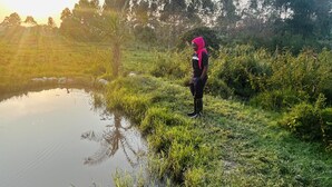 A person standing by a calm pond surrounded by lush greenery and trees. - 5 Bedroom Lodge Sleeps 10 - Pets Welcome (Kitanswa)