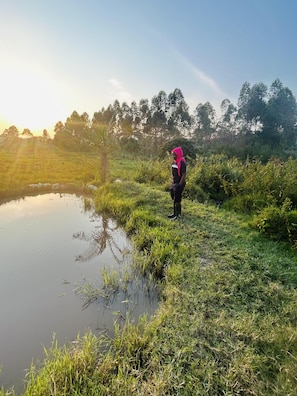 A person standing by a calm pond surrounded by lush greenery and trees. - 5 Bedroom Lodge Sleeps 10 - Pets Welcome (Kitanswa)