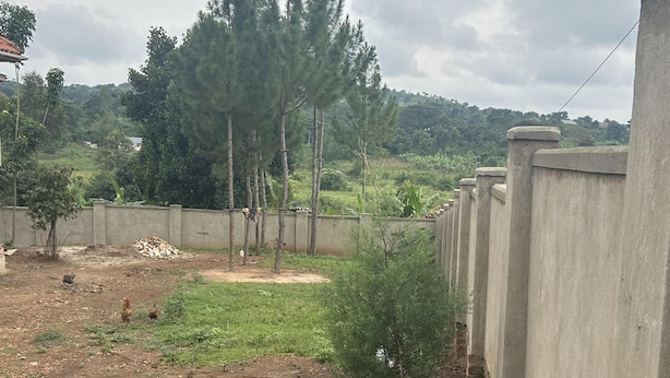 A fenced outdoor area with a dirt ground, a small tree, and a concrete wall. - 5 Bedroom Lodge Sleeps 10 - Pets Welcome (Kitanswa)