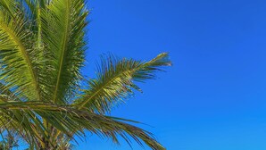 Una playa con una palmera, dos sillas de playa y una sombrilla azul.
