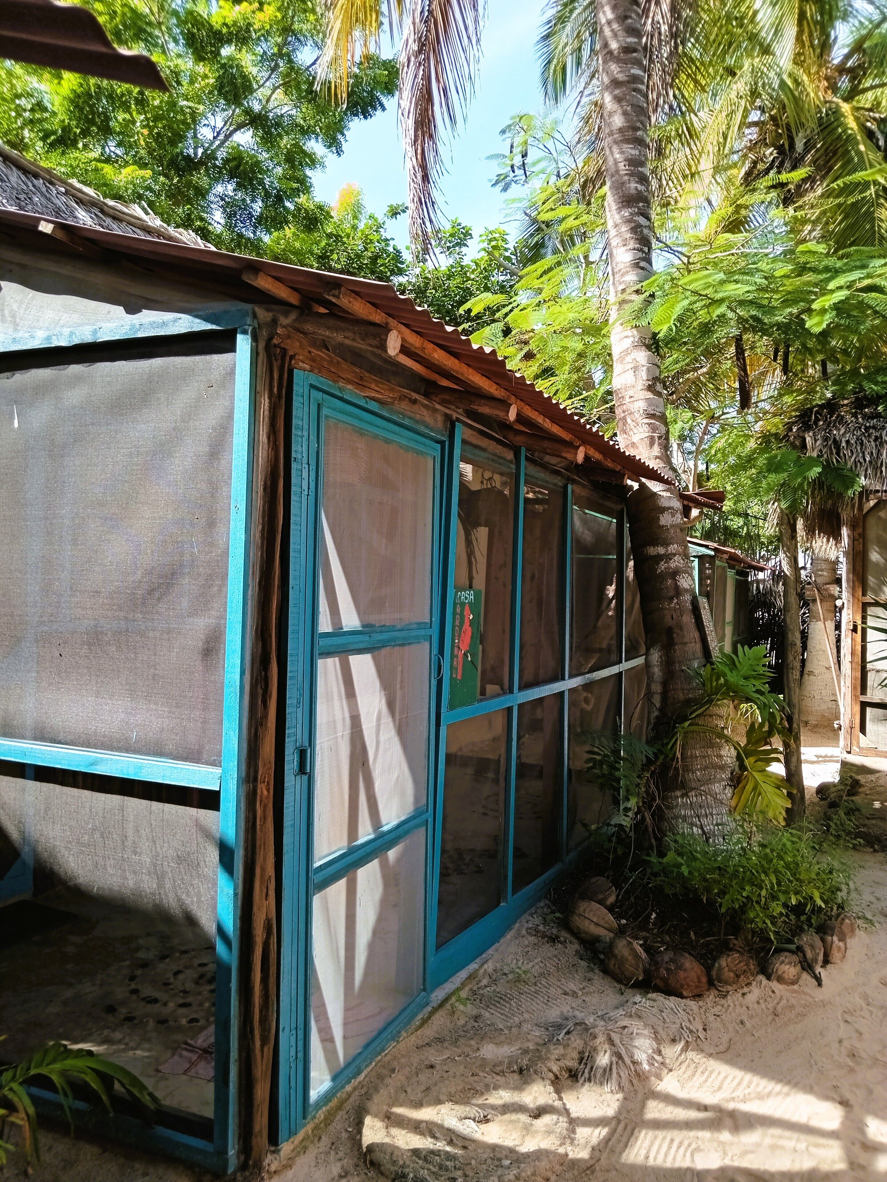 A small, enclosed structure with a blue door and windows, surrounded by palm trees and vegetation.