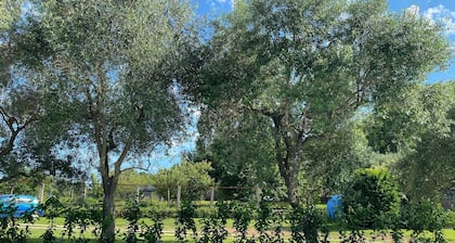 Charming 1-bedroom villa in enchanting Herceg Novi with AC, WiFi