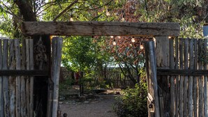 A rustic wooden gate with a natural stone pathway leading through it. - Oasis Escondido / Stunning Views / Spa / Firepit / Location / Private! (El Prado)