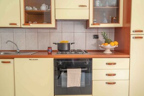 Fridge, oven, stovetop, dishwasher