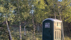 Des toilettes portables portant l’inscription « M. Pots » sont installées dans une zone boisée, au milieu de bouleaux.