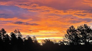 Un coucher de soleil avec un ciel aux couleurs éclatantes et les silhouettes d’arbres.