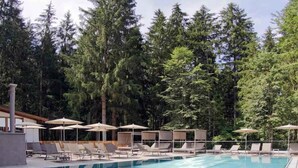A swimming pool with lounge chairs and umbrellas, surrounded by trees. - Holiday apartment with wellness area (Ötz im Ötztal)