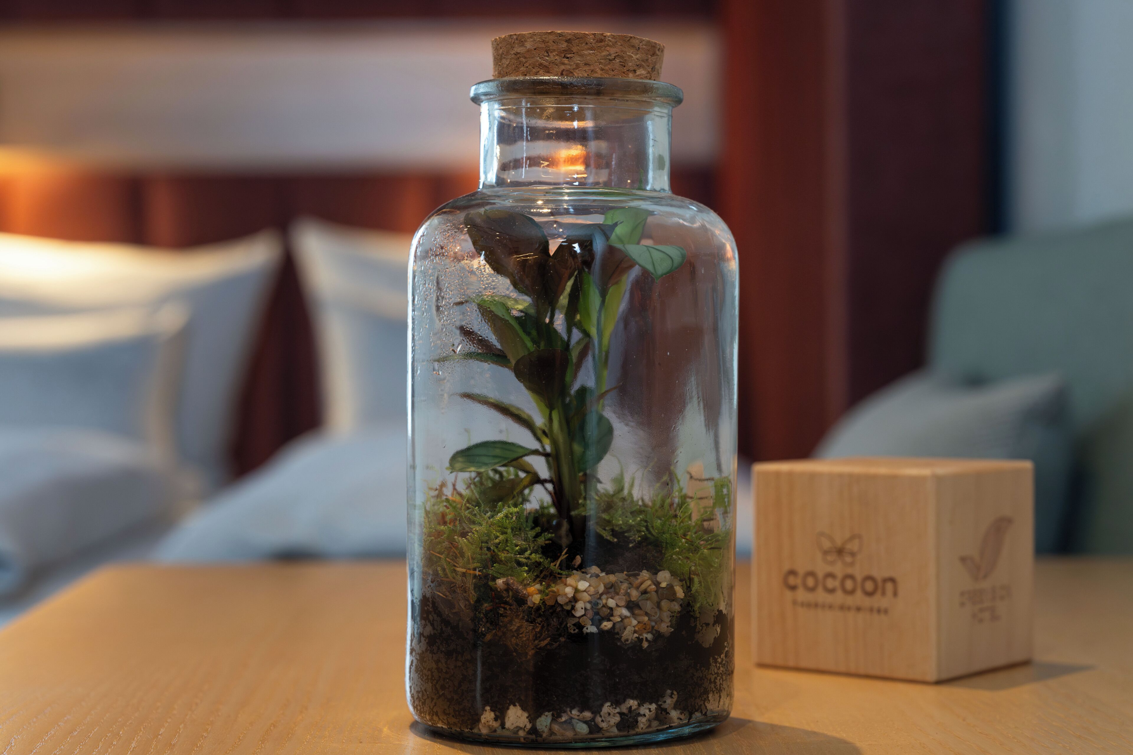 Una botella de vidrio con una planta, una caja de madera y un fondo desenfocado de una habitación con cama y almohadas.