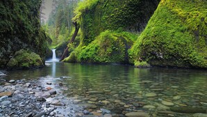 A serene river with clear water, surrounded by moss-covered rocks and lush greenery.