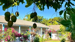 Exterior - Kahina Lodge (Hanga Roa)
