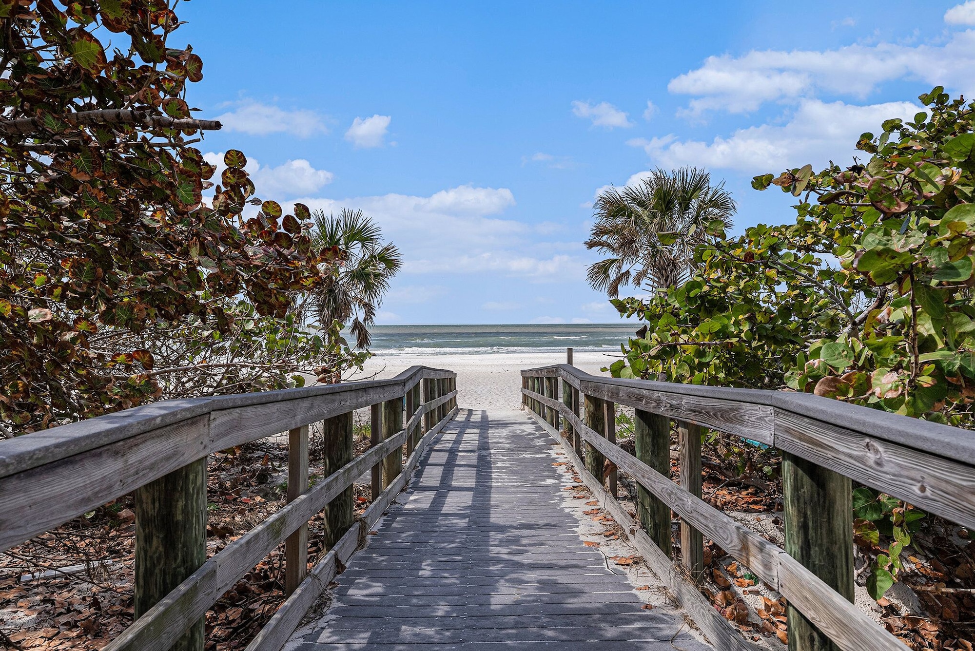 فنادق بتصنيف نجوم (2)