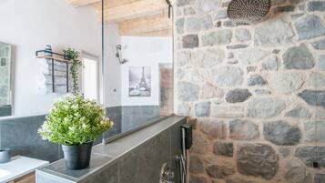 Dusche, Haartrockner, Bidet, Handtücher