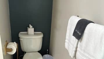 Douche, sèche-cheveux, serviettes fournies