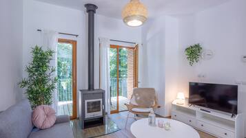 TV, fireplace