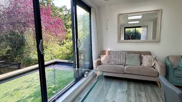 Smart TV, computer monitors