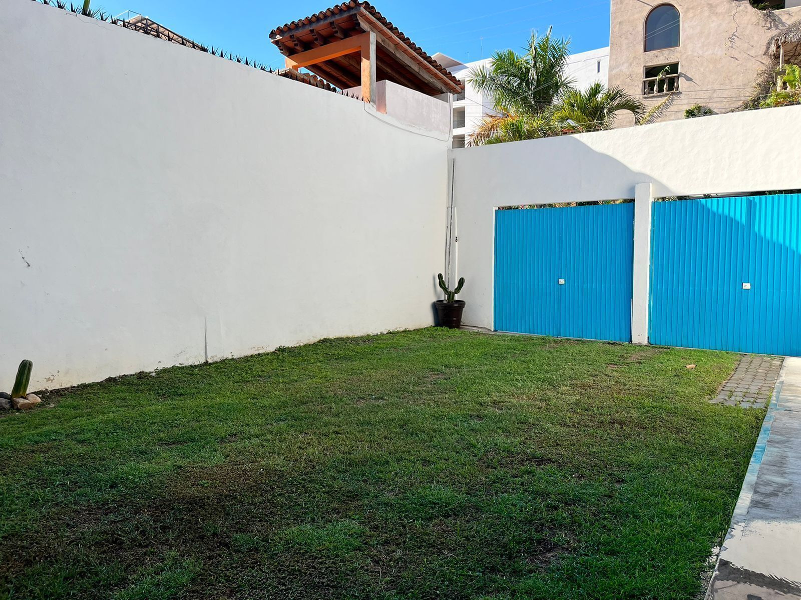 A courtyard with a well-maintained lawn, a cactus plant, and a blue garage door.
