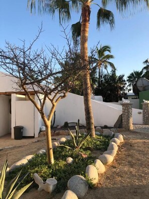 Property grounds - La Ventana Beach Resort (La Ventana)