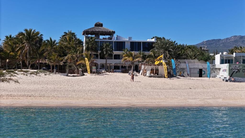 A beachside hotel with a large building, palm trees, and a clear blue sky.