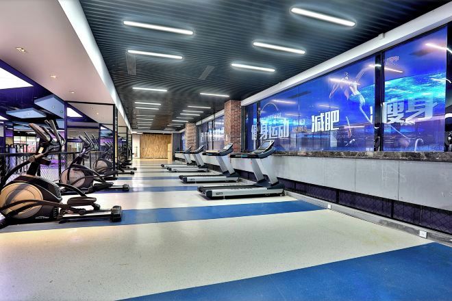 A gym with treadmills, stationary bikes, and weights.