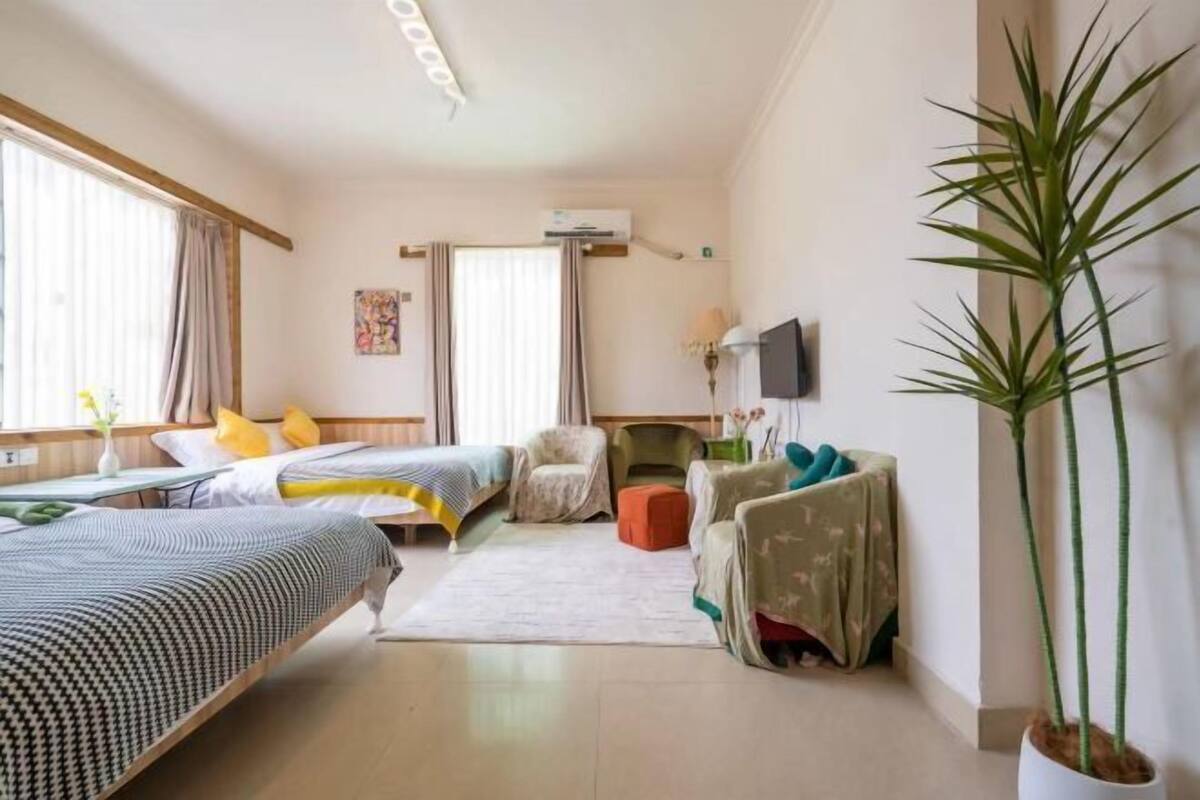 A hotel room with two beds, a sofa, a chair, a TV, and a potted plant.