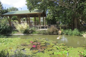 Villa | 2 bedrooms, desk - Ecolodge Saba - Natural Pool & Beach (Saint-François)