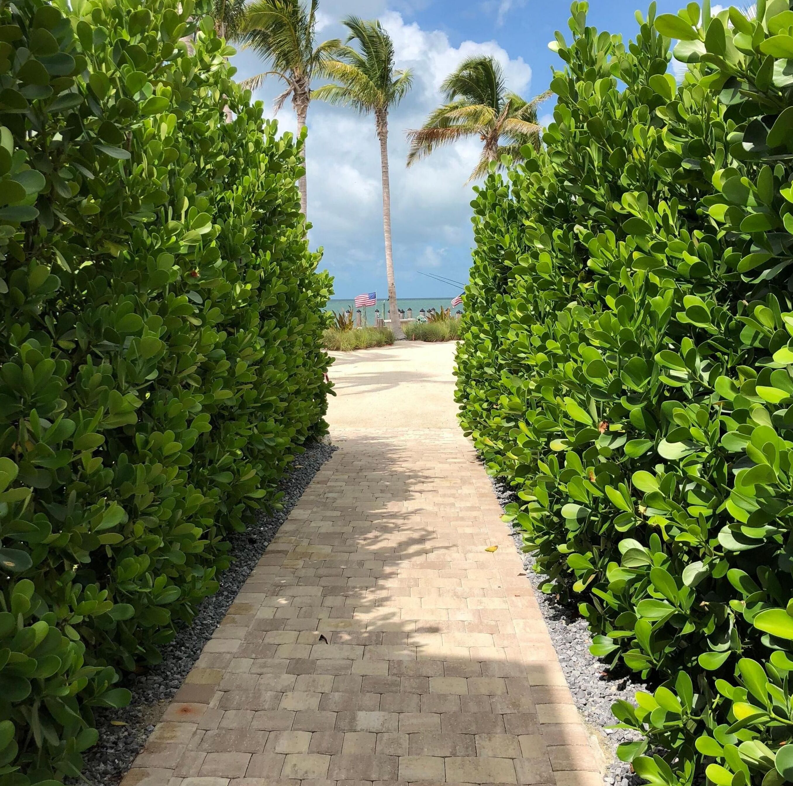 하우스 | 4 개의 침실