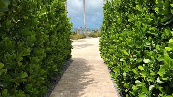 Casa | 4 habitaciones