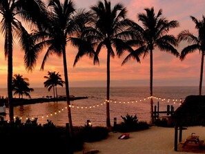 A beach scene with palm trees, a string of lights, and a wooden structure. - 2 Beautiful 4 Bed 3 Bath Pool Home w Free Dock (Marathon)