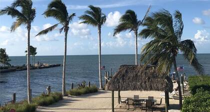 2 Beautiful 4 Bed 3 Bath Pool Home w Free Dock