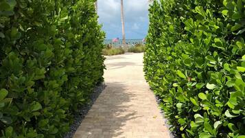 Casa | 4 habitaciones