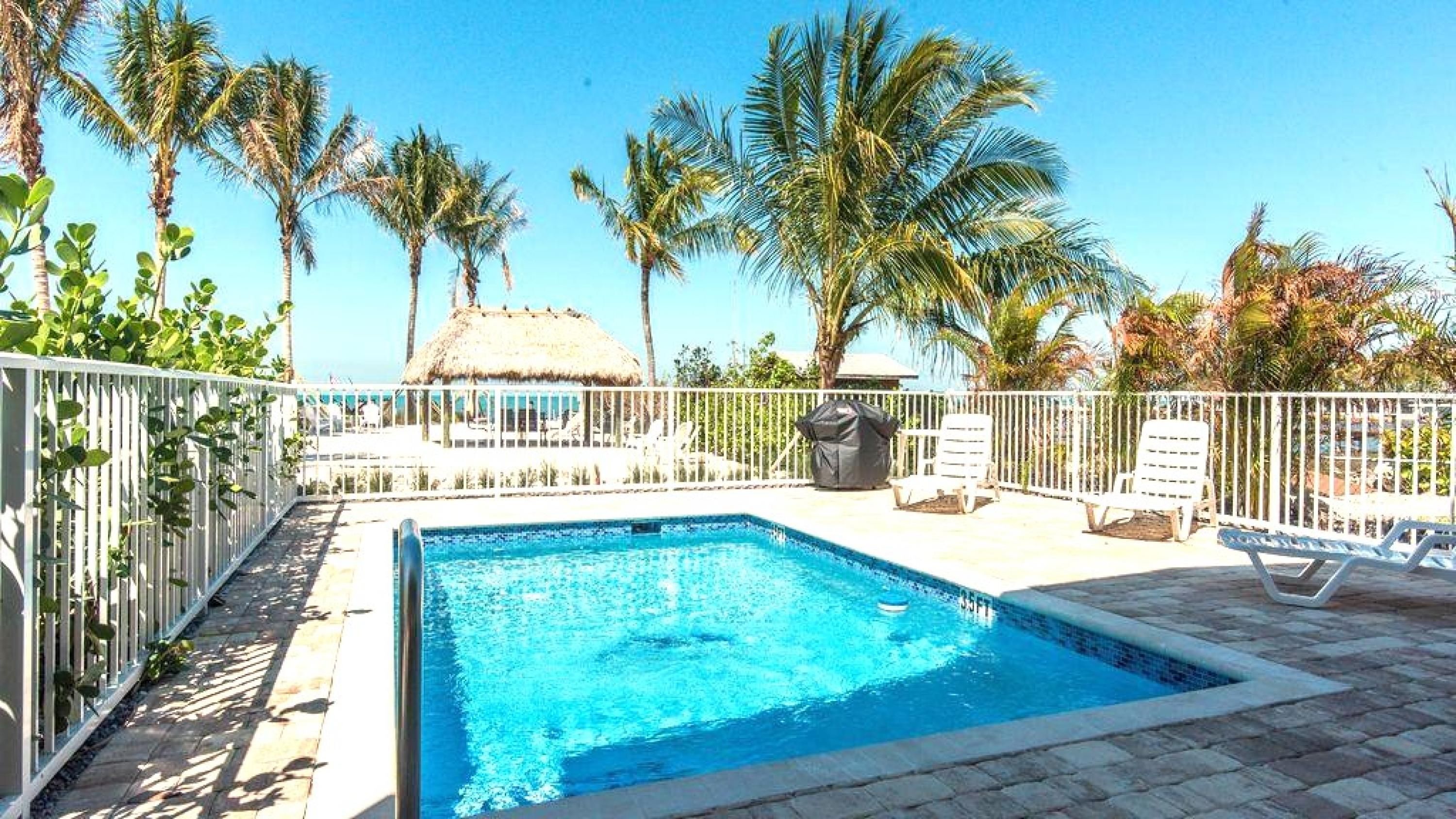 A swimming pool with lounge chairs and palm trees.