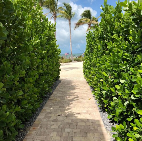 4 Beautiful 4 Bed 3 Bath Pool Home w Free Dock