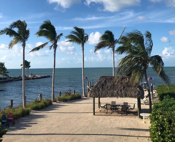Relax by the ocean with a serene beachside view, a thatched-roof structure, and comfortable outdoor seating.