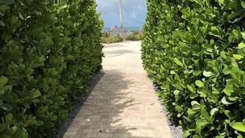 Casa | 4 habitaciones