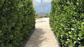 A paved pathway flanked by dense green foliage, leading to a beach with palm trees and a clear sky.