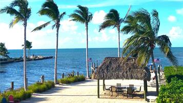 A beach with palm trees, a thatched-roof structure, and a view of the ocean.