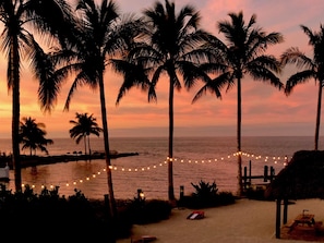 A beach scene with palm trees, a string of lights, and a wooden structure. - 1 Beautiful 4 Bed 3 Bath Pool Home w Free Dock (Marathon)