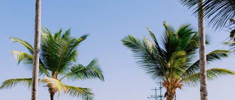 Apartment | 3 Schlafzimmer