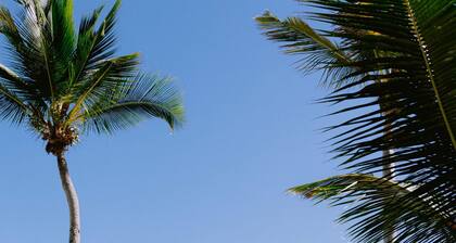 Incredibly Beautiful Condo Just Steps to the Beach